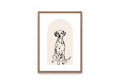 Dalmatian Dog