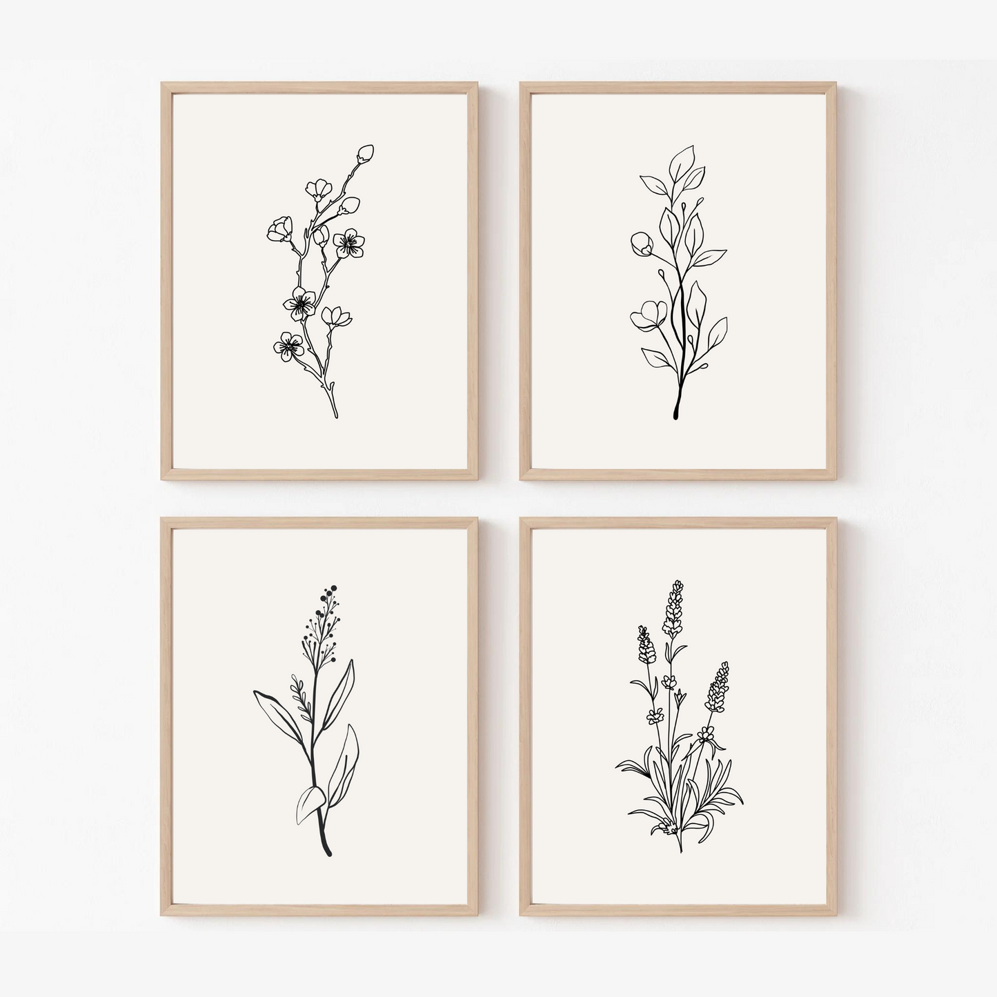 Bloom_Botanical Line Flowers ( Set of 4 )