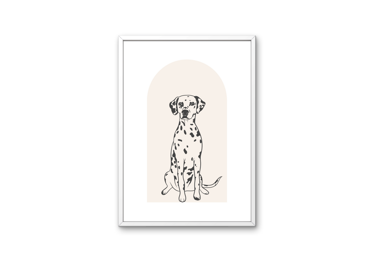 Dalmatian Dog