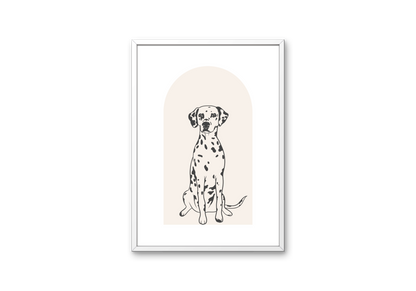 Dalmatian Dog