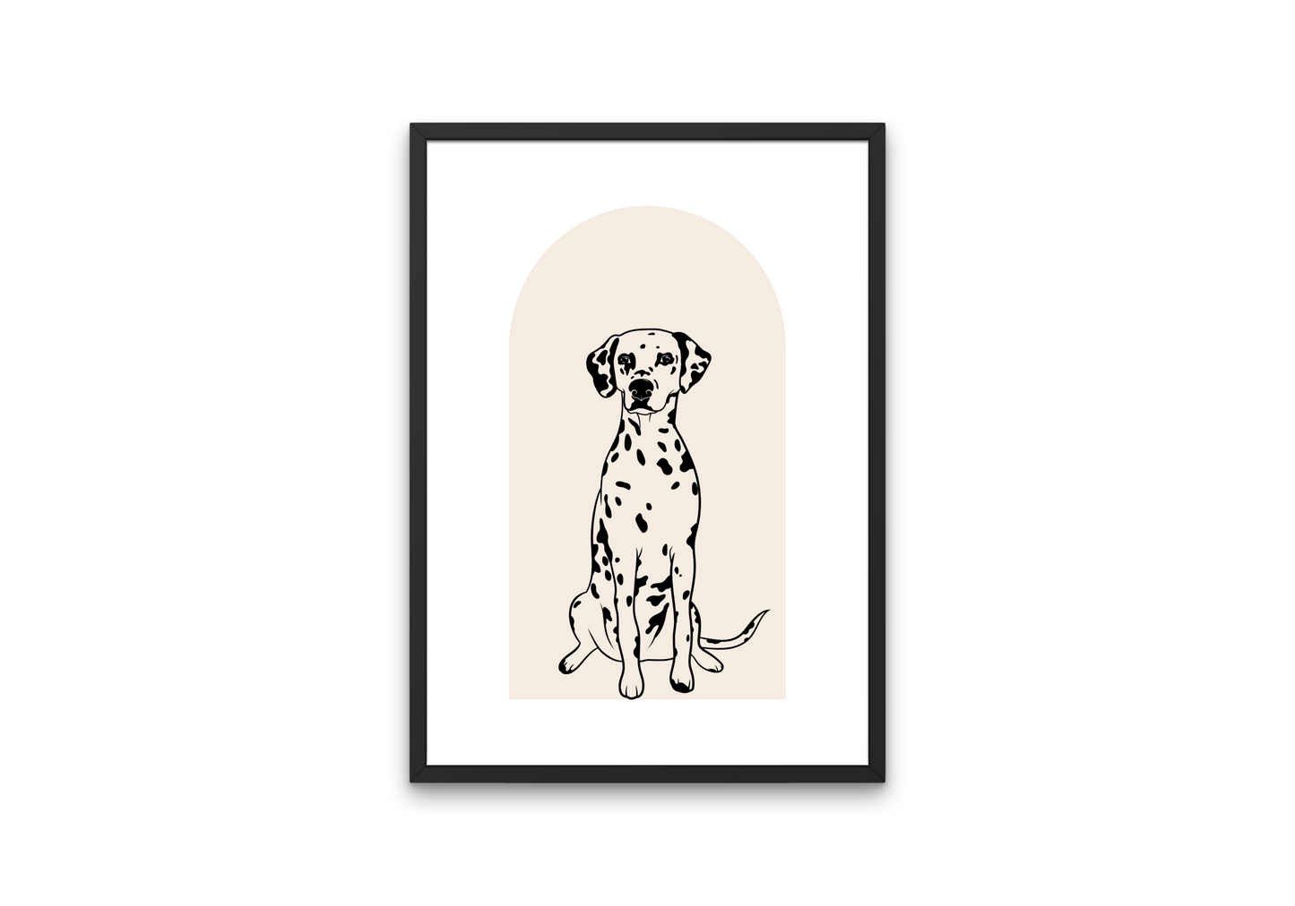 Dalmatian Dog